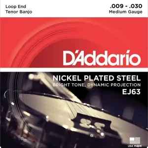 D‘ADDARIO EJ63 JEU CORDES BANJO TENOR 4 CORDES - ACCORD STANDARD Populaire