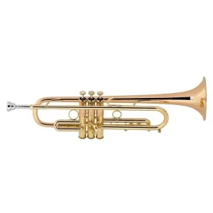 BACH STRADIVARIUS LT190L-1B TROMPETTE SIB VERNIE avec étui Réduction