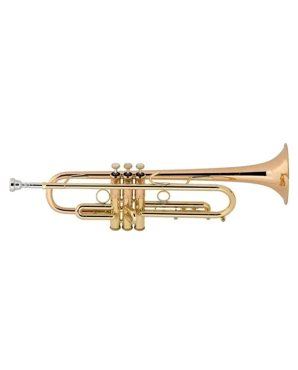 BACH STRADIVARIUS LT190L-1B TROMPETTE SIB VERNIE avec étui Réduction