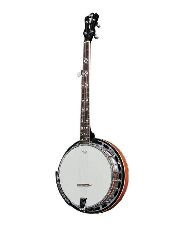 VGS PREMIUM BANJO TENNESSEE 5 CORDES - Avec étui Livraison Express