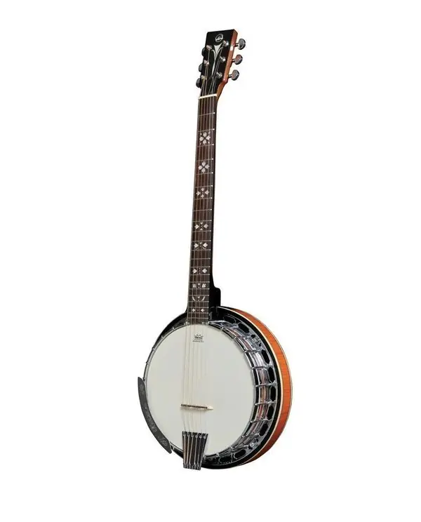 VGS PREMIUM BANJO TENNESSEE 6 CORDES - Avec étui Nouveauté