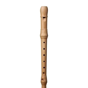 Promotion KUNG STUDIO 1303 FLUTE A BEC SOPRANO CERISIER