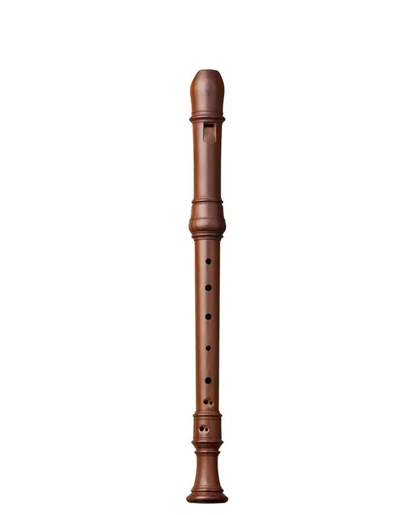 Remise KUNG SUPERIO 2404 FLUTE A BEC ALTO PRUNIER