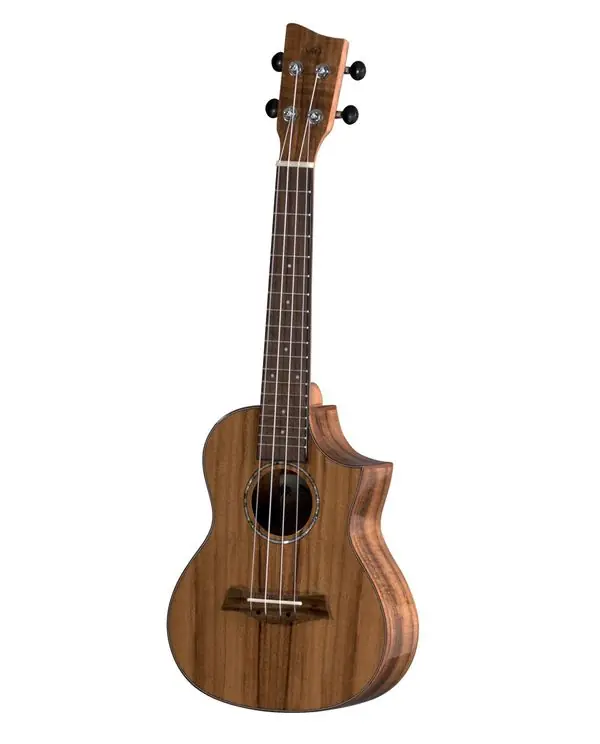 Super Prix VGS MANOA S-CO-KN UKULELE CONCERT KOA NATUREL + housse