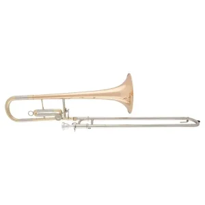 ARNOLDS & SONS ASL-703 TROMBONE PETITE MAIN VERNI - Avec étui et emb. Livraison Express