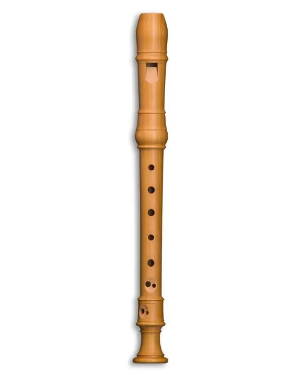 MOLLENHAUER DENNER 5006 FLUTE A BEC SOPRANINO POIRIER Quantité Limitée