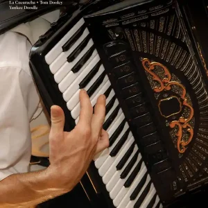 Prix Réduit Hal Leonard Folksongs for Accordion - Meisner - Accordian - Book