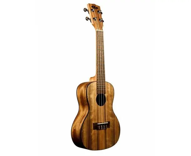 Achat Immédiat KA-PWC - PACIFIC WALNUT
