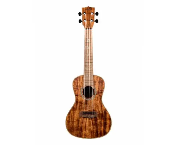 KA-SA-C - SOLID ACACIA Commander Maintenant