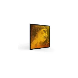 Offre Du Jour PIRASTRO EVAH PIRAZZI GOLD VIOLON - JEU mi boucle & sol or