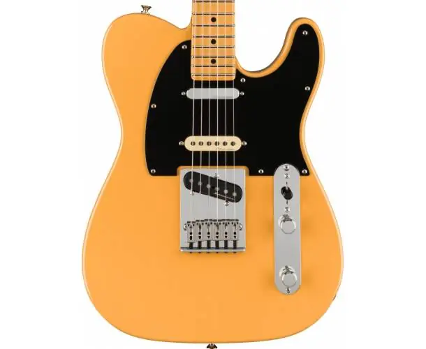 Prix Réduit PLAYER PLUS NASHVILLE TELECASTER MAPLE FINGERBOARD BUTTERSCOTCH BLONDE