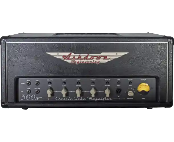 ENGINEERING - CTM-300 - ALL TUBE BASS HEAD Livraison Express