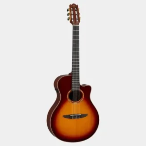 NTX3 BROWN SUNBURST Vente Flash