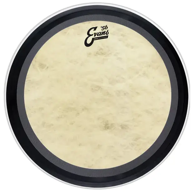 EVANS Calftone 26" Bass EMAD Réduction