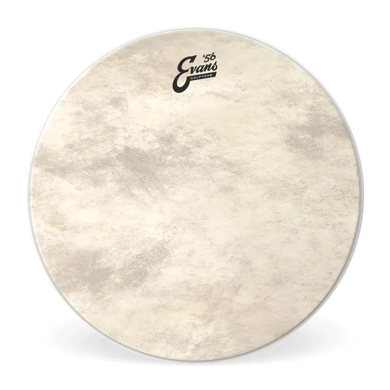 EVANS Calftone 26" Bass Acheter En Ligne