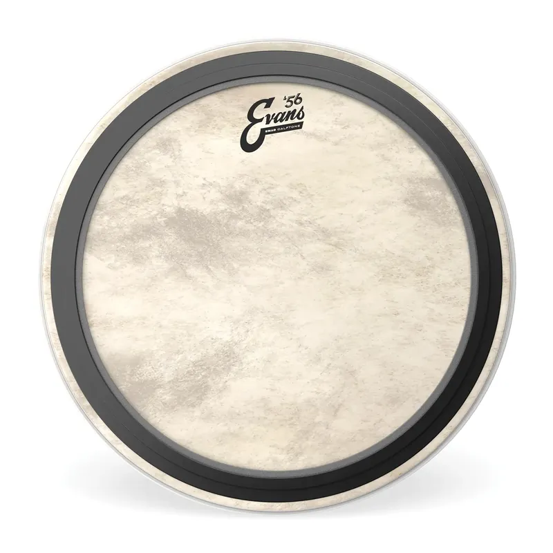 EVANS Calftone 24" Bass EMAD Offre Du Jour