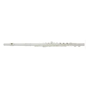 TREVOR JAMES "PRIVILEGE" FLUTE TRAVERSIERE PLAQUE/NOYAU ARGENT Meilleur Choix
