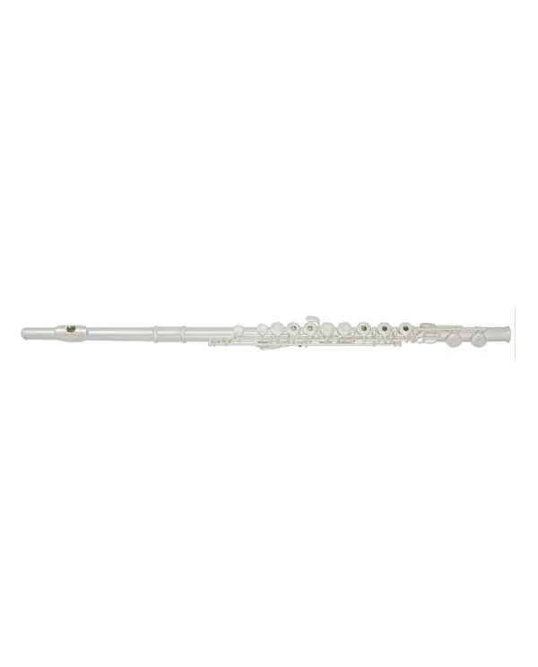 TREVOR JAMES "PRIVILEGE" FLUTE TRAVERSIERE PLAQUE/NOYAU ARGENT Meilleur Choix