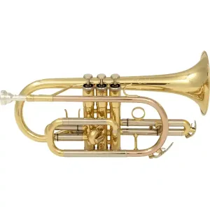 Offre Spéciale SML PARIS CO50 CORNET SIB VERNI - Avec étui et embouchure