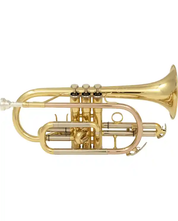 Offre Spéciale SML PARIS CO50 CORNET SIB VERNI - Avec étui et embouchure