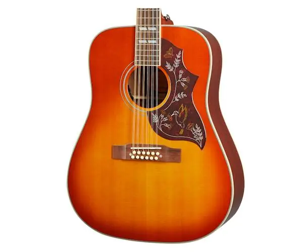 Affaire À Saisir INSPIRED BY HUMMINGBIRD 12-STRING AGED CS GLOSS