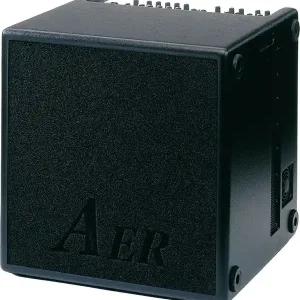 Nouvelle Collection AER BASIC PERFORMER 2 AMPLI BASSE 2X100W