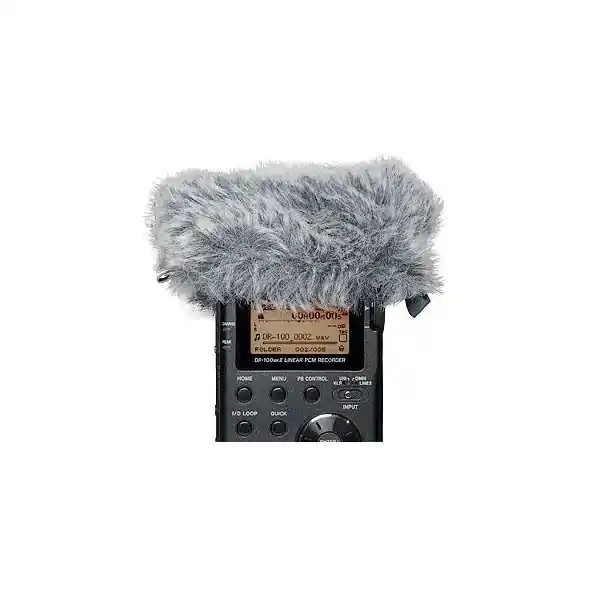 Marque TascamWS-11