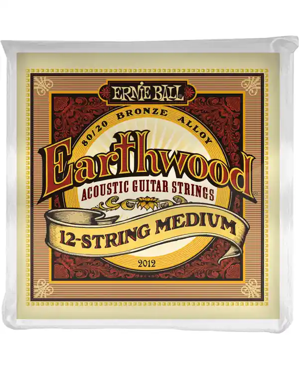 Marque ERNIE BALL 2012 EARTHWOOD MEDIUM JEU 12 CORDES GUITARE FOLK