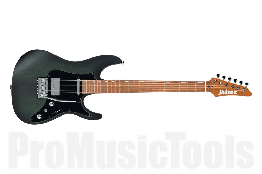 Expédié Aujourd'hui Ibanez EH10 TGM Erick Hansel Signature - Transparent Green Matte - b-stock 190322157