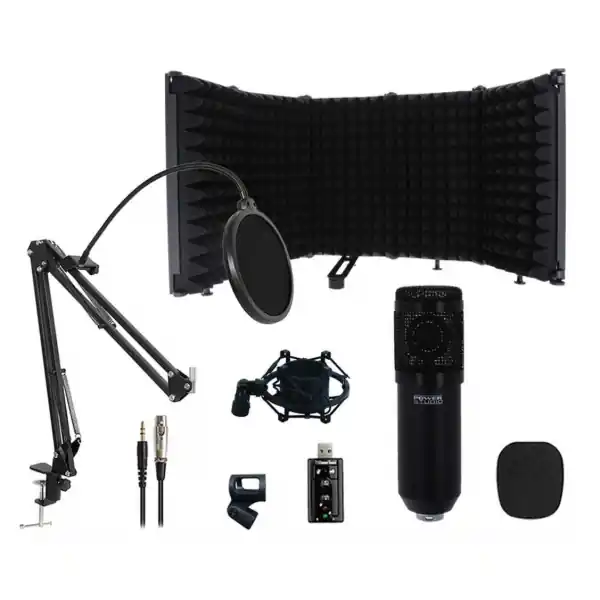 Haute Qualité Power StudioVIBE D1 XLR RF