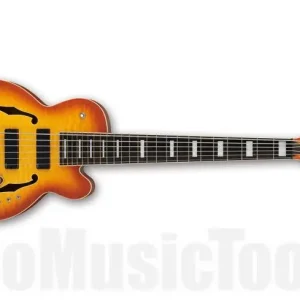 Commander Vite Ibanez TCB1006 ALM - Autumn Leaf Burst Matte - Stephen ‘Thundercat‘ Bruner Signature Bass