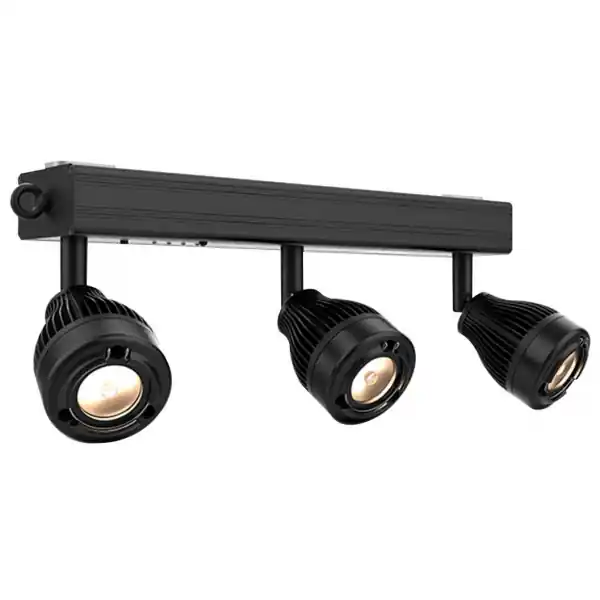 Chauvet DJEZBAR Quantité Limitée