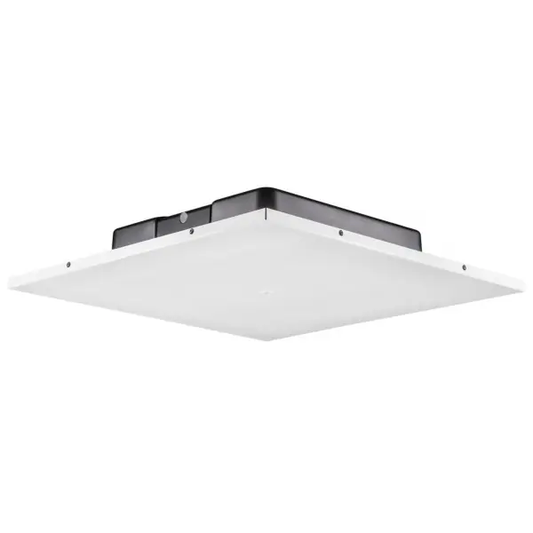 Expédié Aujourd'hui JBLLCT 81C/TM