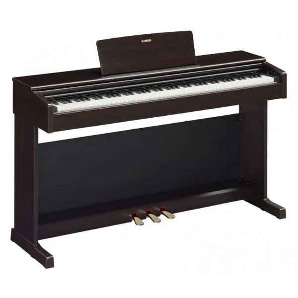 Expédition Rapide YamahaYDP-145 R (BOIS DE ROSE)