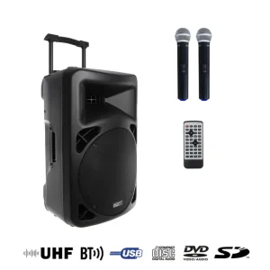 Power Acoustics Sonorisation - BE 9515 V2 Petit Prix