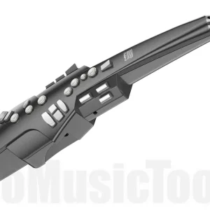 Solde Roland AE-10G