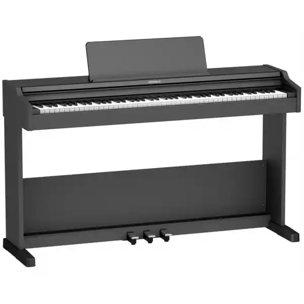 Marque RolandRP107