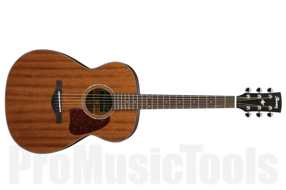 Acheter En Ligne Ibanez AC240 OPN Artwood - Open Pore Natural - b-stock (1x opened box)