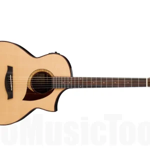 Vente Flash Ibanez AEW22CD NT - Natural - demo