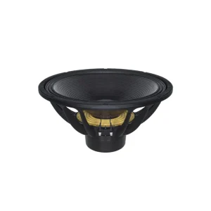 Offre Du Jour B&C Speakers - 18SW100