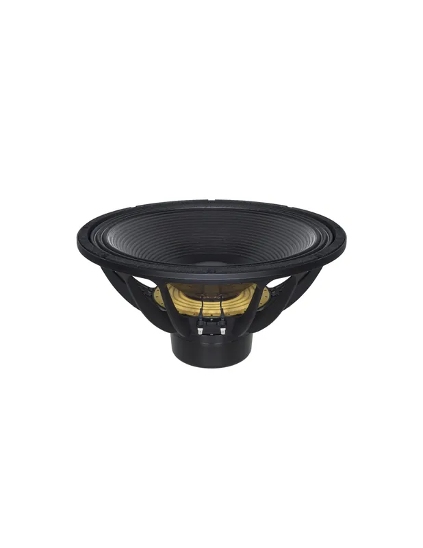 Offre Du Jour B&C Speakers - 18SW100