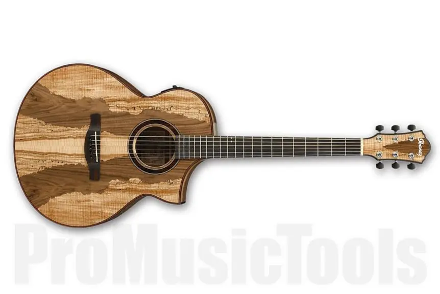 Ibanez AEW16LTD1 NT - Natural - Limited Edition Populaire