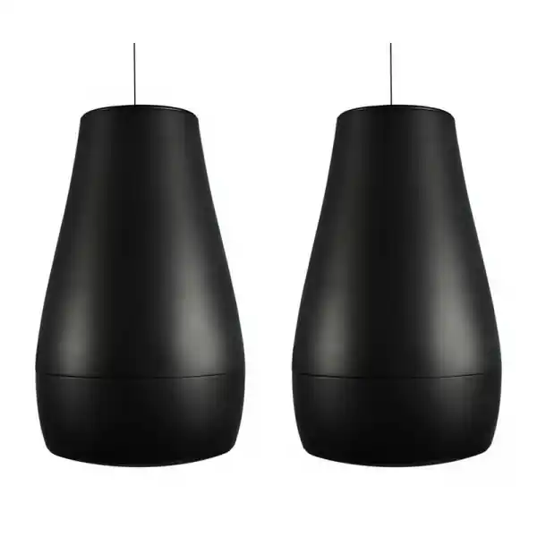 Commande En Gros Biamp SystemsP6 (LA PAIRE - NOIR)