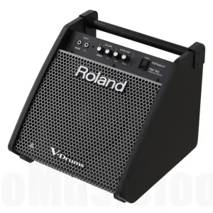 Roland PM-100 Personal E-Drum Monitor Meilleure Vente