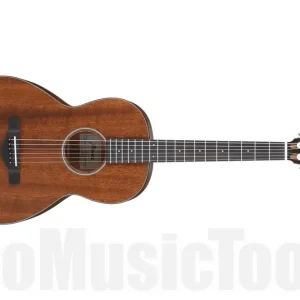 Vente Flash Ibanez AVN9-OPN Artwood Vintage - Open Pore Natural
