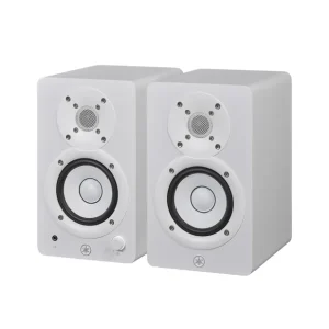 Affaire À Saisir Yamaha - HS3W