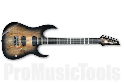 Achat Immédiat Ibanez RGIX20FESM FSK - Foggy Stained Black - Iron Label