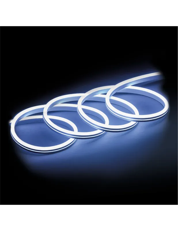 Ibiza - NEON500-CW Acheter Direct