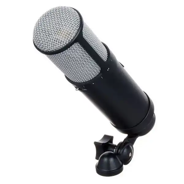 Réduction Universal AudioSphere LX Modeling Microphone