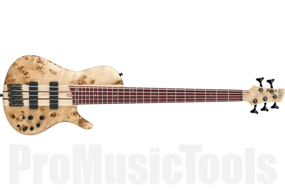 Vente Directe Ibanez SRSC805 NTF - Natural Flat - Workshop